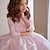 Χαμηλού Κόστους Φορέματα για πάρτι-Παιδιά Κοριτσίστικα Φόρεμα για πάρτυ Συμπαγές Χρώμα Μακρυμάνικο Επίδοση Γάμου Δίχτυ Πριγκίπισσα Γλυκός Δίχτυ Μέχρι τη μέση της γάμπας Φόρεμα σε ευθεία γραμμή Ροζ πριγκίπισσα φόρεμα Φόρεμα τούλι