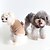 cheap Dog Apparel &amp; Accessories-Dog Cat Sweatshirt Fashion Cute Winter Soft Washable Comfortable Outdoor Casual Daily Dog Clothing for Bichon Frise Poodle Pomeranian Baby Pet Papillon