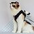 preiswerte Kleider-Hund Katze Kleid Mode Niedlich Winter Weich Waschbar Bequem Outdoor Party Geburtstag Hundebekleidung for Bichon Frise Pudel Zwergspitz Baby Haustier Papillon