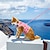 cheap Dog Apparel &amp; Accessories-Dog Cat Harness Fashion Party Reflective Breathable Washable Comfortable Christmas Outdoor Casual Daily Walking Dog Clothing for Bichon Frise Pomeranian Baby Pet Papillon Small