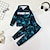 cheap Boy&#039;s 3D Sets-Boys 3D Graphic Hoodie &amp; Pants Set Long Sleeve 3D Printing Fall Winter Active Fashion Cool Polyester Kids 3-12 Years Outdoor Street Vacation Regular Fit