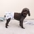 Χαμηλού Κόστους Ρούχα για σκύλους-τυχαία 2τμχ νέα σκύλα φυσιολογικό παντελόνι σκύλος φυσιολογικό παντελόνι πάνα εμμηνορροϊκή πάνα εργοστασιακό pet physiological παντελόνι