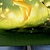 זול קפוצ&#039;ונים וחולצות תלת מימד של ילדה-בנות תלת מימד אנימציה קפוצ&#039;ון Pullover שרוול ארוך הדפסת תלת מימד סתיו חורף פעיל אופנתי סגנון חמוד פוליאסטר ילדים 3-12 שנים בָּחוּץ קזו&#039;אל יומי רגיל