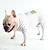 billige Pyjamas-Hunder Katter Pyjamas Mote søt stil Vinter Myk Vaskbar Bekvem Innendørs Fritid / hverdag Hundeklær for Bichon Frisé Puddel Pommeran ungt kjæledyr Sommerfugl