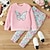 cheap Girl&#039;s 3D Sets-Girls&#039; 3D Leopard Butterfly Sweatshirt &amp; legging Set Pink Long Sleeve 3D Print Fall Winter Active Fashion Daily Polyester Kids 3-12 Years Crew Neck Outdoor Date Vacation Regular Fit