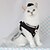 preiswerte Kleider-Hund Katze Kleid Mode Niedlich Winter Weich Waschbar Bequem Outdoor Party Geburtstag Hundebekleidung for Bichon Frise Pudel Zwergspitz Baby Haustier Papillon