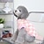 halpa Koiran vaatteet-japani ja etelä-korea syksyn ja talven lemmikkivaatteet ruudullinen kaksijalkainen fleece koiran vaatteet bixiong nalle lemmikkieläinten vaatteet