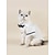 Χαμηλού Κόστους Ρούχα για σκύλους-Σκυλιά Γάτες T-shirt Γραβάτα / Παπιγιόν Πάρτι Γενέθλια Πάρτι ΕΞΩΤΕΡΙΚΟΥ ΧΩΡΟΥ Ρούχα για σκύλους Ρούχα κουταβιών Στολές για σκύλους Ζεστό Μαύρο / Άσπρο Στολές για κορίτσι και αγόρι σκυλί Πολυεστέρας