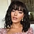 cheap Synthetic Trendy Wigs-Short Wavy Wig with Bangs for Women Shoulder Length Bob Curly Women‘s Charming Synthetic Wigs with Natural Wavy Black To Brown Heat Resistant Hair for Daily Party Use Christmas Party Wigs