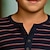 ieftine tricouri 3d pentru băieți-Băieți 3D Dunga cămașă henley Manșon Lung Tipărire 3D Toamnă Iarnă Sport Modă Șic Stradă Poliester Copii 3-12 ani Stil Nautic În aer liber Casual Zilnic Fit regulat