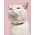 preiswerte Halsbänder, Geschirre und Leinen für Hunde-Hunde Katzen Halsbänder Weich Dekoration Anti-Verlust Niedlich bezaubernd Outdoor Blume PU-Leder Shiba Inu kleines Haustier Kleiner Hund Rosa