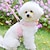 お買い得  犬用服-犬の鎖 リーシュ 犬の鎖 小型犬 インターネット有名人 ペット チェストストラップ テディ ポメラニアン クマ 子犬の鎖