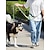 ieftine Zgărzi &amp; Lese Câini-câine pisică antrenor lesă de alergare durabil siguranță siguranță sport moale alergare în aer liber bloc de culoare poliester câine mic câine mediu câine mare verde deschis roz albastru gri 1buc