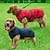 tanie Ubrania dla psów-nowa transgraniczna odzież dla psów odblaskowa, ogólna kurtka outdoorowa dla dużych psów, pogrubiona, wyściełana bawełną artykuły dla zwierząt