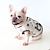 baratos Roupa para Cães-Petstyle fadou super macio desenho animado coelho colete botão de bolso macio e confortável