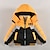 cheap Outerwear-Toddler Boys Hoodie Jacket Outerwear Kids Puffer Jacket Solid Color Letter Long Sleeve Button Coat Outdoor Cotton Fashion Daily Yellow Red Blue Winter 1-3 Years