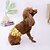 baratos Vestidos-Cachorros Gatos Calças Menstruais Fisiológicas para Cachorro Estilo bonito Casual Inverno Respirável Macio Lavável Confortável Ao ar livre Casual / Diário Roupas para cães for Bichon Frise Pomerânia