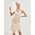 abordables Robes-Années Folles Années 1920 Robe de vacances Robe Charleston Robe Bal Masqué Gatsby le Magnifique Charleston Invité au mariage Paillettes Frange à pompons Femmes Nouvel An Mascarade Mariage robe