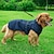 billiga Hundkläder-nya gränsöverskridande hundkläder reflekterande stor hund allmän utomhusjacka förtjockad bomullsvadderad husdjursutrustning