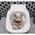 abordables Pegatinas de pared decorativas-mural de la pared 3d arte de la pared gato cartel de la pared baño pegatinas 3d gato pegatinas de pared calcomanías de gato pegatinas de gato baño de gato dormitorio de las niñas baño decoración gato calcomanías de pared cuaderno cartel