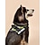 cheap Dog Collars, Harnesses &amp; Leashes-Dog Cat Harness Leash Running Leash Breathable Vest Adjustable Flexible Durable Escape Proof Safety Portable Safety Sports Adjustable Outdoor Geometric Solid Colored Geometry Polyester Husky Labrador