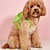 ieftine Esențiale Călătorie Câini-rucsac drăguț pentru animale de companie cu design broască țestoasă pentru câini și pisici - perfect pentru plimbări și călătorii în aer liber