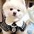 preiswerte Kleider-Hund Katze Kleid Mode Niedlich Winter Weich Waschbar Bequem Outdoor Party Hundebekleidung for Bichon Frise Pudel Zwergspitz Baby Haustier Papillon
