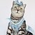abordables Robes-Chien Chat Robe Mode Mignon Hiver Doux Lavable Confortable Extérieur Soirée Vêtements pour Chiens for Bichon Frisé Caniche Spitz Nain Bébé Animal Papillon