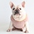 رخيصةأون ملابس الكلاب-Petstyle Fadou سترة ملونة بأزرار، نسيج جيب بأزرار يابانية للدفء والنعومة