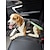 ieftine Zgărzi &amp; Lese Câini-Câini Pisici Lesa de antrenament Portabil Dovadă de evadare Siguranță Siguranță În aer liber Inimă Fruct Dungi Poliester Caine mic Câine mediu Câine mare Multicolor Roz Albastru Verde 1 buc