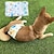 baratos Vestidos-Cachorros Gatos Calças Menstruais Fisiológicas para Cachorro Estilo bonito Casual Inverno Respirável Macio Lavável Confortável Ao ar livre Casual / Diário Roupas para cães for Bichon Frise Pomerânia