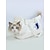 preiswerte Wichtige Produkte für eine Reise mit dem Hund-Hunde Katzen Reisetasche Tragbar Atmungsaktiv Reise Einfarbig Britisch Modisch Oxford Stoff Terylen kleines Haustier Welpe Kleiner Hund Outdoor Wandern Weiß