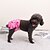 رخيصةأون ملابس الكلاب-جديد الأم الكلب السراويل الفسيولوجية الكلب السراويل الفسيولوجية السراويل البولية السراويل الحيض البولية الحيوانات الأليفة السراويل الفسيولوجية