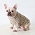cheap Dog Apparel &amp; Accessories-Dog Cat Sweatshirt Fashion Cute Winter Soft Washable Comfortable Indoor Casual Daily Dog Clothing for Bichon Frise Poodle Pomeranian Baby Pet Papillon