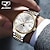 levne Mechanické hodinky-Muži mechanické hodinky Luxus Sportovní Wristwatch Kalendář Datum týden VODĚODOLNÝ Světový čas Ocel Hodinky