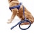 preiswerte Halsbänder, Geschirre und Leinen für Hunde-PP-Band gewebtes rundes Hundeseil, Hundebrustgurt, Zugseil, Hundeseil, Heimtierbedarf