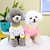 cheap Dog Clothes-Random 2pcs Y Pet clothing Dog clothing Autumn and winter new Teddy cat winter pet clothing 23 color base shirt