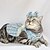 baratos Vestidos-Cachorros Gatos Vestidos Moda Estilo bonito Inverno Macio Lavável Confortável Ao ar livre Festa Roupas para cães for Bichon Frise Poodle Pomerânia Animais de Pequeno Porte Borboleta