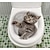 baratos Adesivos de Parede Decorativos-mural de parede 3d arte de parede pôster de parede de gato adesivos de banheiro adesivos de parede de gato 3d decalques de gato adesivos de gato banheiro de gato meninas quarto decoração de banheiro decalques de parede de gato pôster de notebook