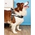 Χαμηλού Κόστους Κολάρα, Σαμαράκια &amp; Λουριά για Σκύλους-Σκυλιά Γάτες Εξαρτύσεις Προσαρμόσιμη Veste Αθλητικά Ρυθμιζόμενο ΕΞΩΤΕΡΙΚΟΥ ΧΩΡΟΥ Γράμμα Κλασσικά Πολυεστέρας Μικρός σκύλος Μεσαίο σκυλί Μεγάλο σκυλί Μαύρο 1 τεμ