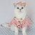 baratos Vestidos-Cachorros Gatos Vestidos Moda Estilo bonito Inverno Macio Lavável Confortável Ao ar livre Festa Roupas para cães for Bichon Frise Poodle Pomerânia Animais de Pequeno Porte Borboleta