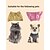 お買い得  犬用グルーミング用品-犬用 猫用 グルーミングキット ヘルスケア ペット用品 特殊材料 バス 防水 洗濯可 柔軟な調整可能 使いやすい キュート ペット用 お手入れグッズ ランダムカラー 1