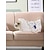 levne Cestovní potřeby pro psy-Psi Kočky Cestovní taška Přenosný Prodyšné Cestování Jednobarevné Bristké Módní Tkanina Oxford Terylen mládě Štěně Malý pes Venkovní Turistika Bílá