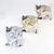preiswerte Halsbänder, Geschirre und Leinen für Hunde-Hundeleine süßer Welpe Teddy Brustgurt Katze beim Spazierengehen Katzenseil Katzenkette Hundekette