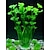 halpa Akvaarion koristeet ja sorat-Akvaario Akvaario Sisustus Pallomalja Kasvit Koristava Uudelleenkäytettävä Muovi 1 40*8.5 cm