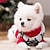 economico Costume per Animali Domestici-Prodotti per cani Prodotti per gatti Maglioni Maglione Di tendenza stile sveglio Inverno Caldo Morbido Lavabile Comodo Natale Esterno Casual / quotidiano Festival Bichon Frise Barboncino Pomeriana