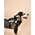 abordables Colliers, harnais et laisses pour chiens-harnais pour chien harnais pour chien chat gilet réglable flexible durable sécurité bande réfléchissante sport réglable extérieur course randonnée marche camouflage couleur unie polyester petit chien