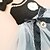 preiswerte Kleider-Hund Katze Kleid Mode Niedlich Winter Weich Waschbar Bequem Outdoor Party Geburtstag Hundebekleidung for Bichon Frise Pudel Zwergspitz Baby Haustier Papillon