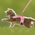 cheap Dog Apparel &amp; Accessories-Dog Cat Harness Fashion Party Reflective Breathable Washable Comfortable Christmas Outdoor Casual Daily Walking Dog Clothing for Bichon Frise Pomeranian Baby Pet Papillon Small
