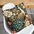 abordables style animalier-Housse de coussin double face à motif floral paon, taie d&#039;oreiller carrée décorative douce, pour chambre à coucher, salon, canapé, chaise, 1 pièce